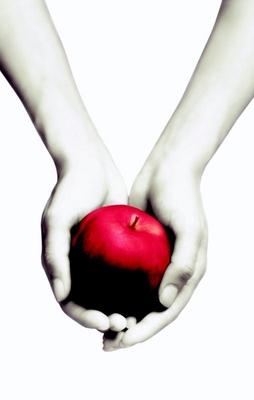 Cover van Twilight : een levensgevaarlijke liefde